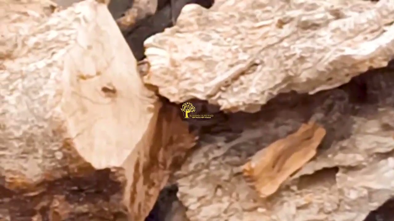 Une matière première locale : le bois d'olivier